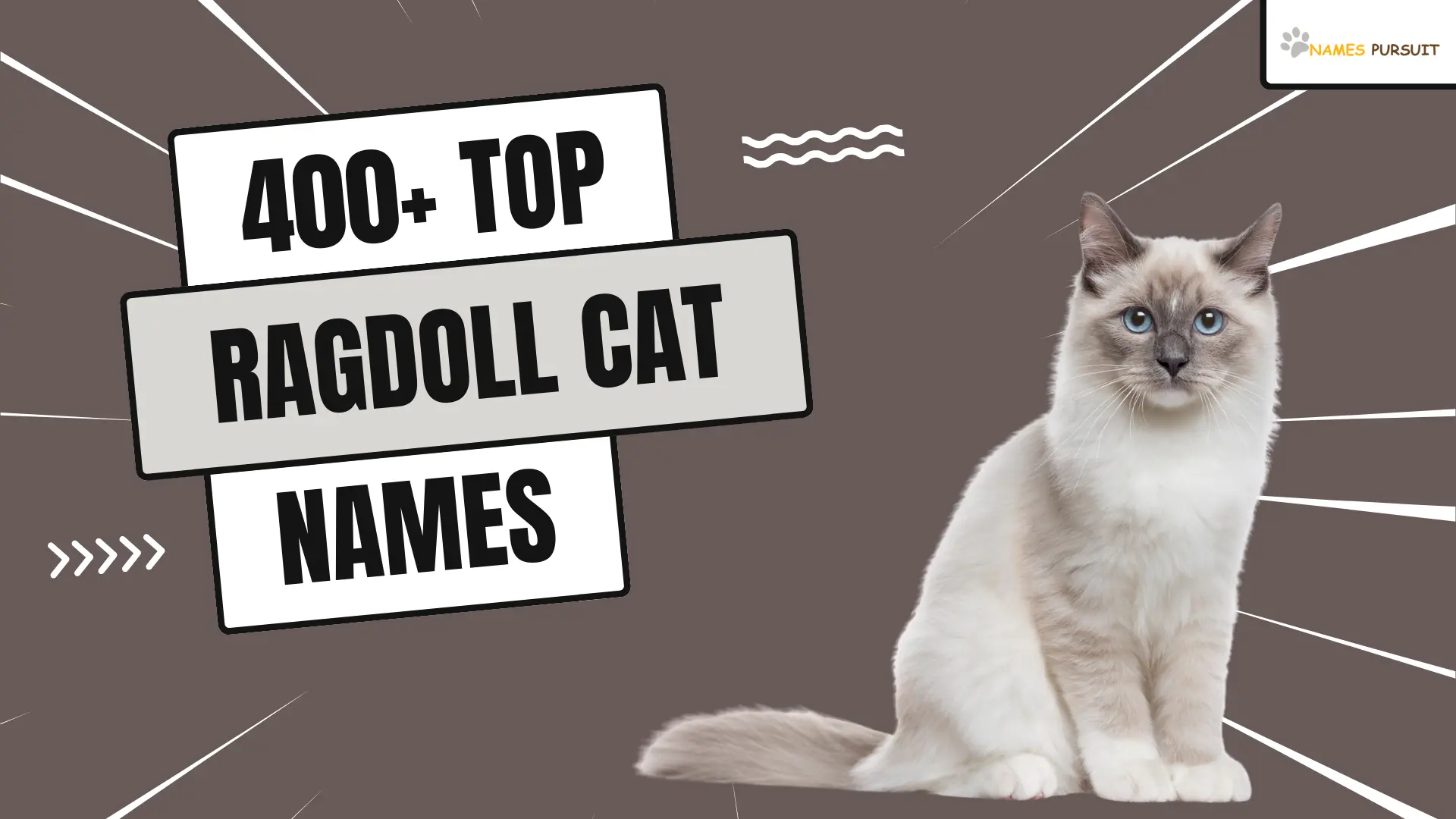Top Ragdoll Cat Names
