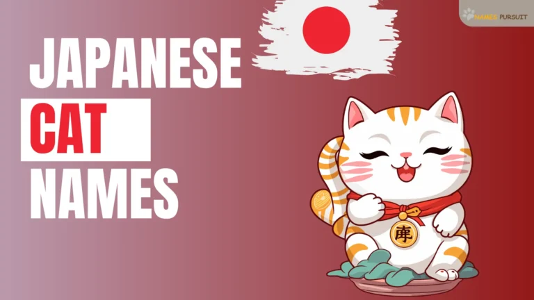 Japanese Cat Names [650+ Unique & Cool Ideas]