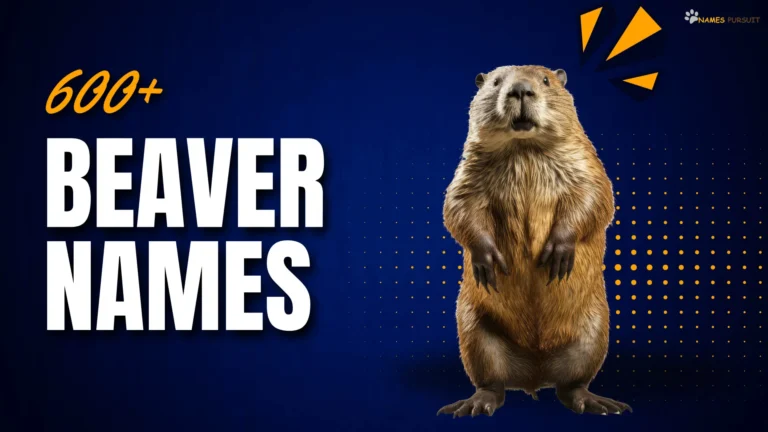 600+ Beaver Names [Angry, Funny, & Cool Ideas]