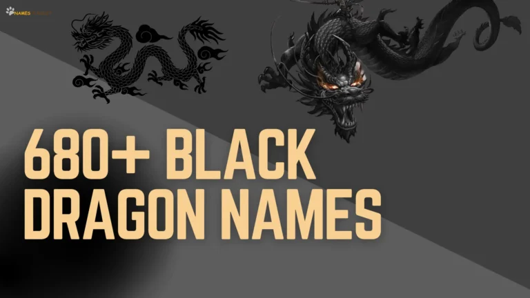 680+ Black Dragon Names (Unique, Cool, & Bold Ideas)