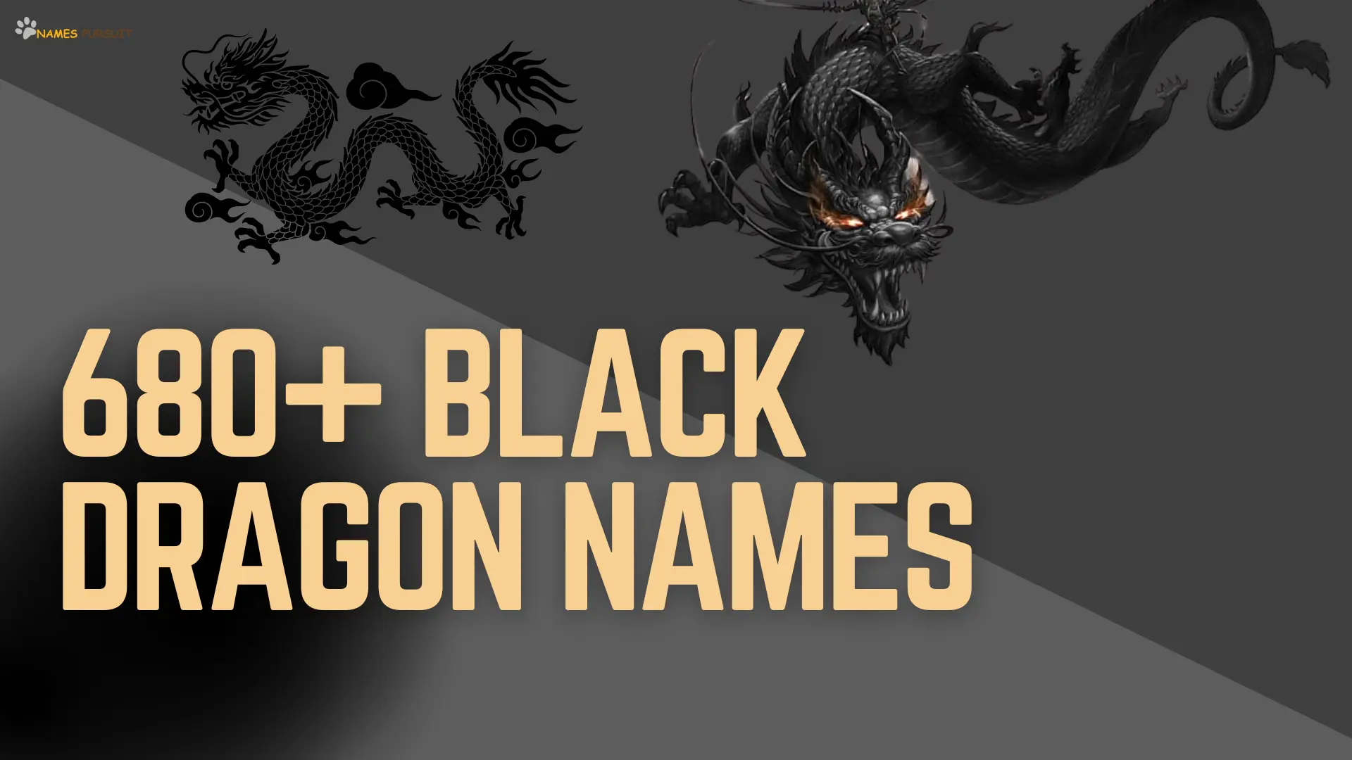Black Dragon Names