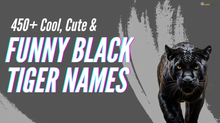 450+ Cool, Cute, & Funny Black Tiger Names