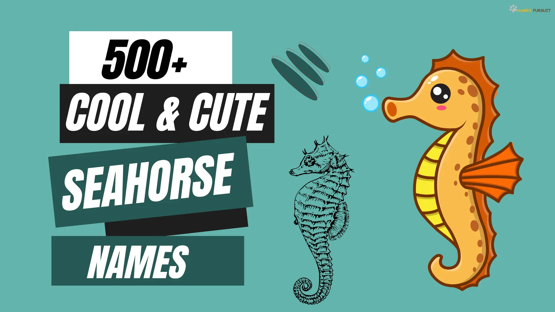 Cool & Cute Seahorse Names