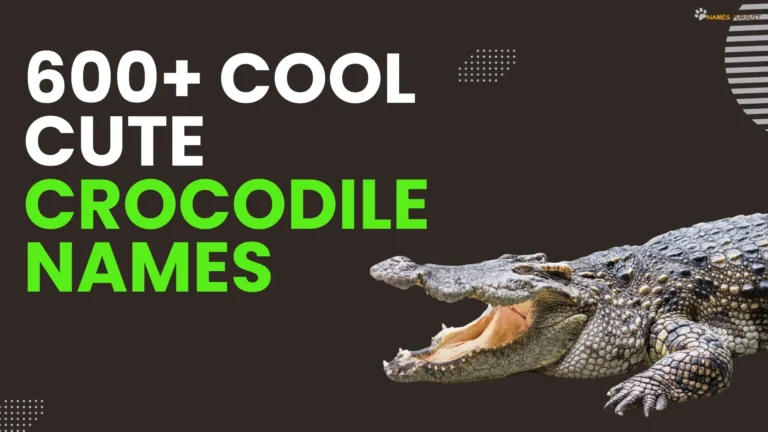 Crocodile Names [600+ Cool, Cute, & Unique Ideas]