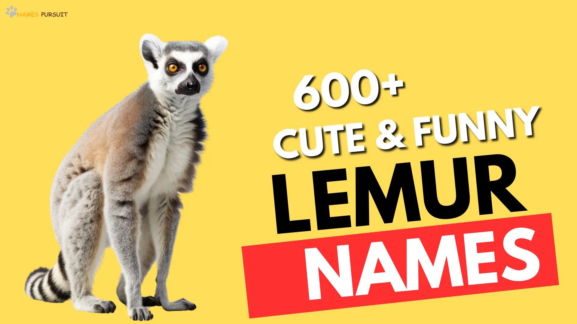 Cute & Funny Lemur Names