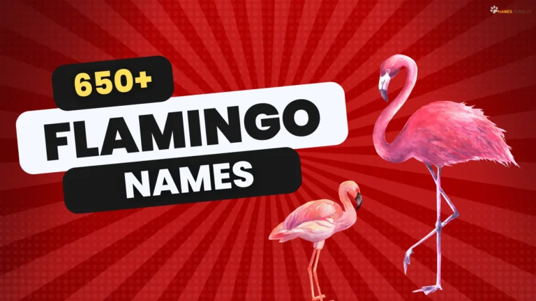 650+ Flamingo Names [Cute, Cool, & Funny Ideas]