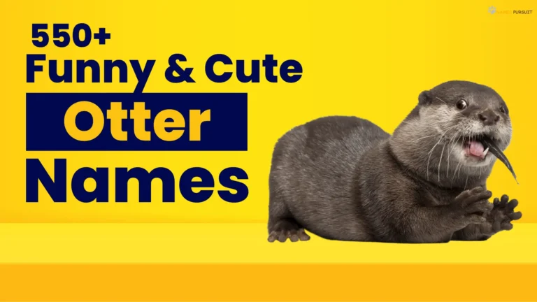 Funny & Cute Otter Names [550+ Cool Ideas]