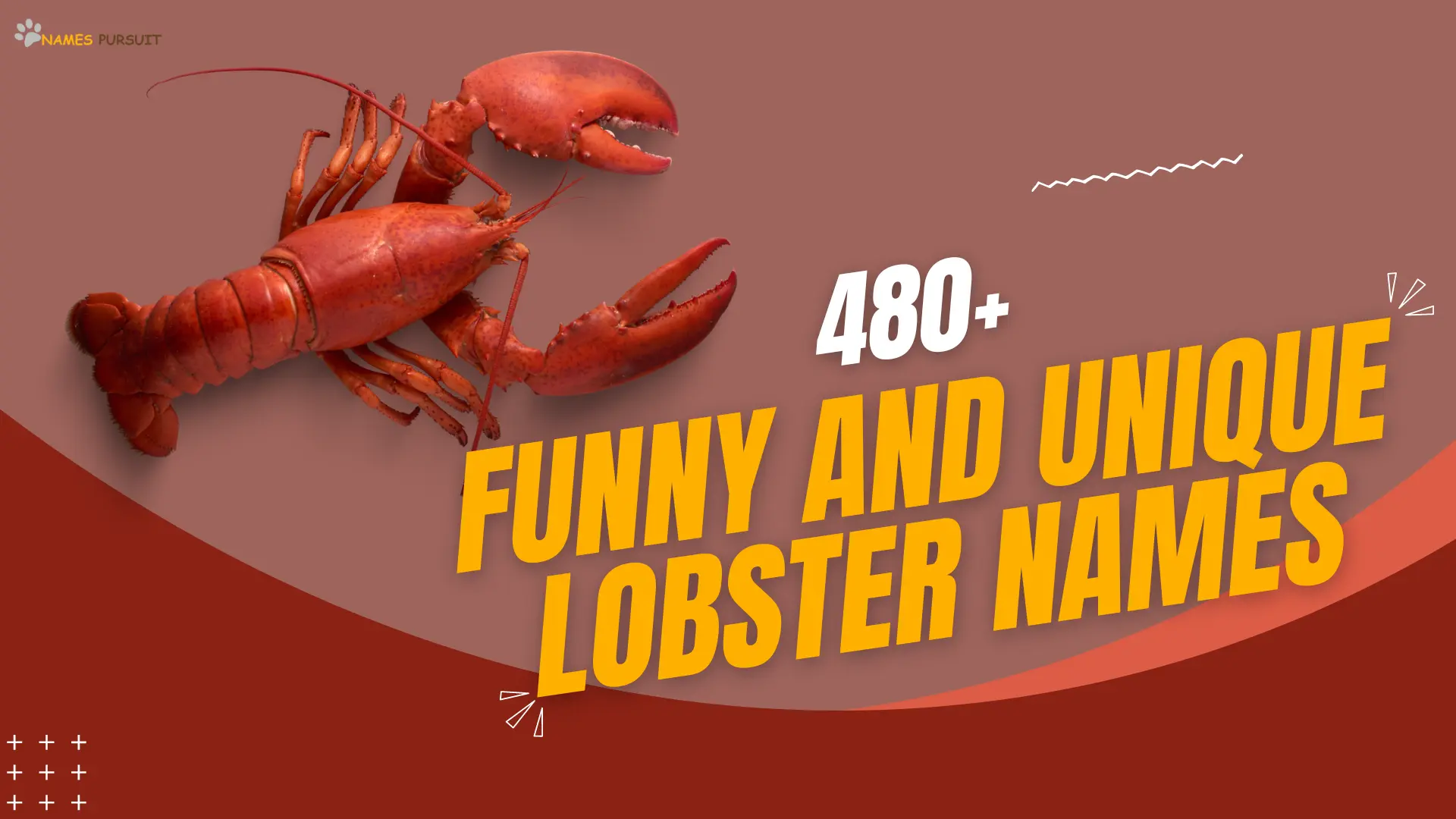 Funny and Unique Lobster Names