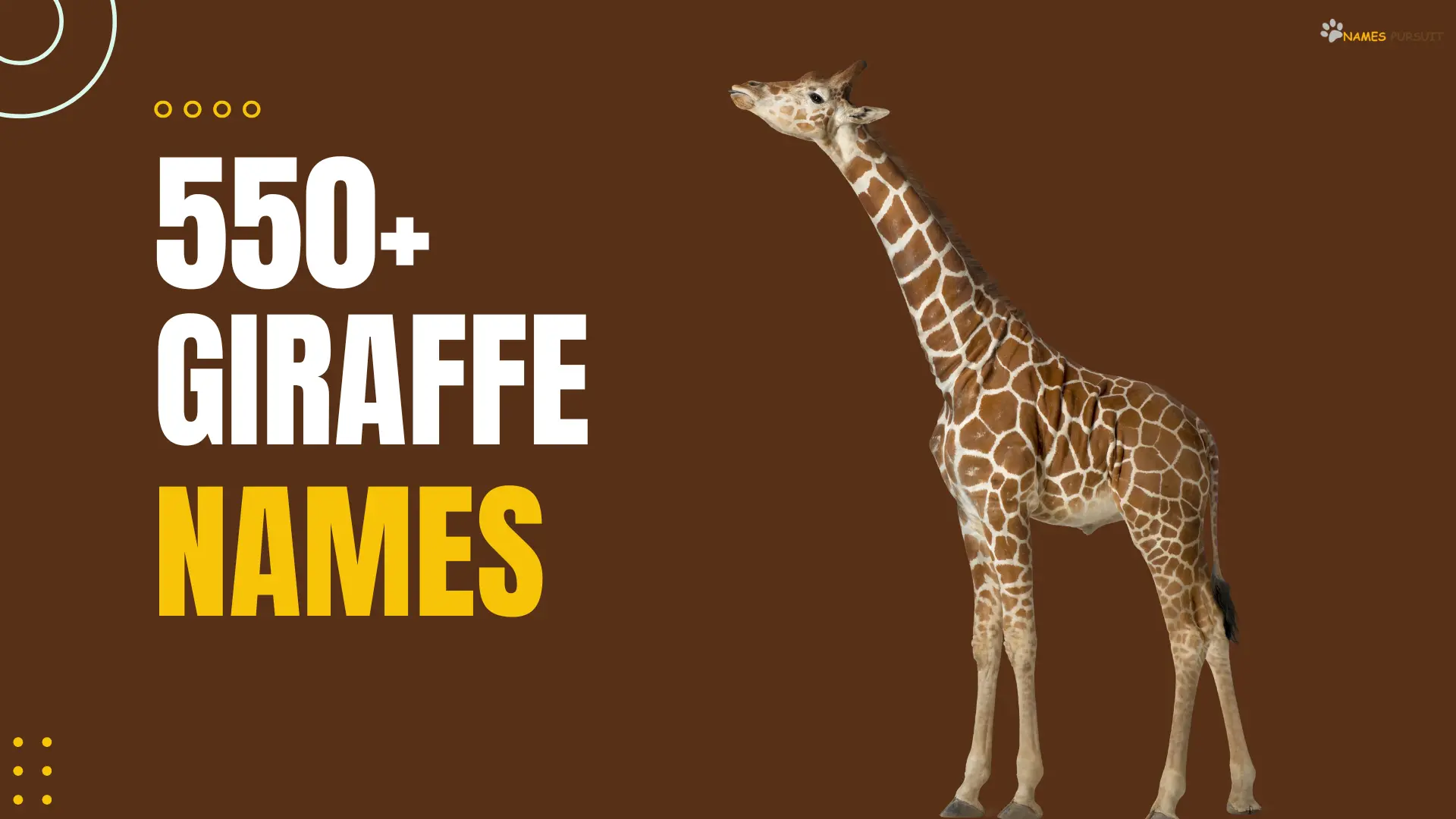 Giraffe Names