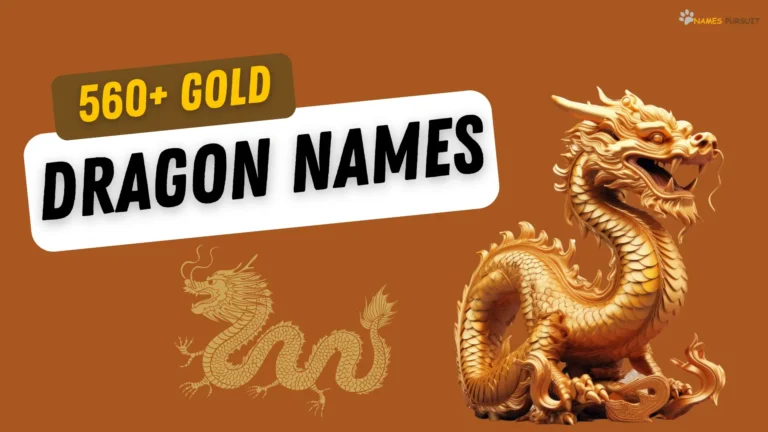 560+ Gold Dragon Names [Unique, Cool, & Bold Ideas]
