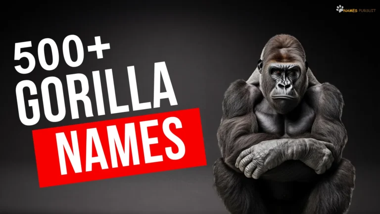 Gorilla Names [500+ Ideas for Baby, Male, & Female]