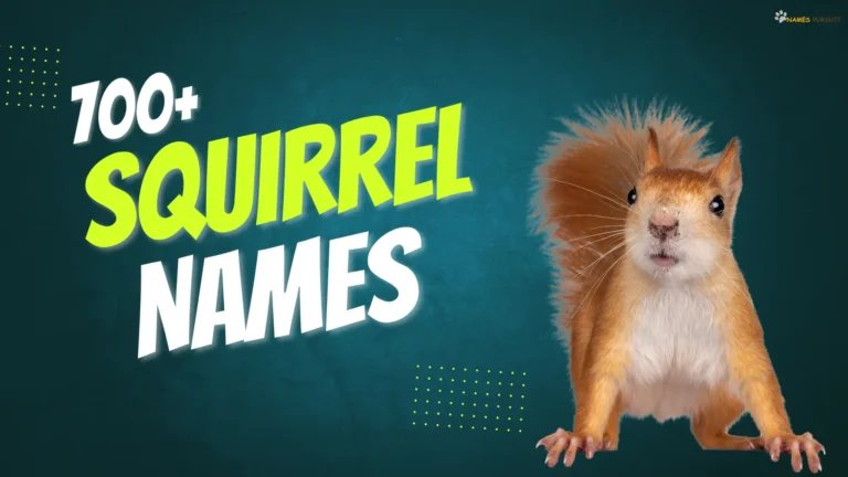 700+ Squirrel Names [Cute, Cool, & Funny Ideas]