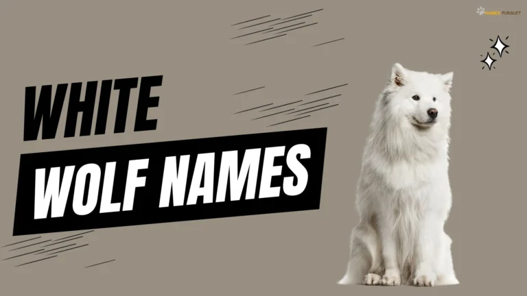 490+ White Wolf Names [Mythical, Cool, & Cute Ideas]