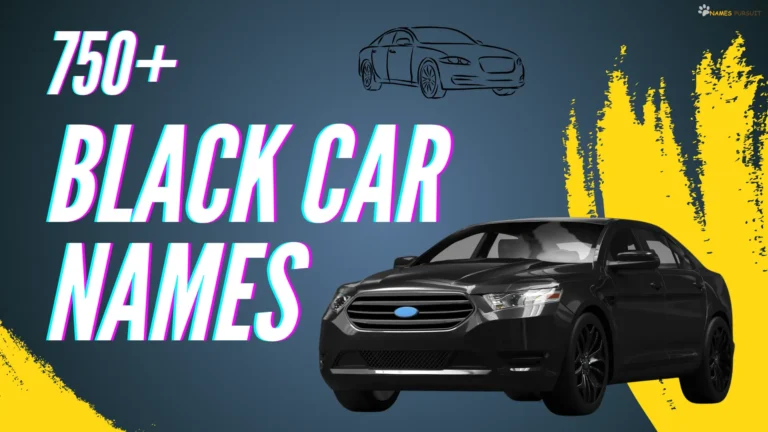 750+ Black Car Names [Cool, Cute, Funny, & Bold Ideas]