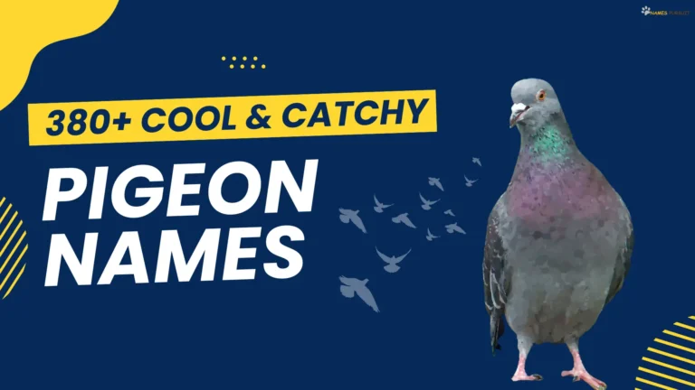 380+ Cool & Catchy Pigeon Names With Meanings