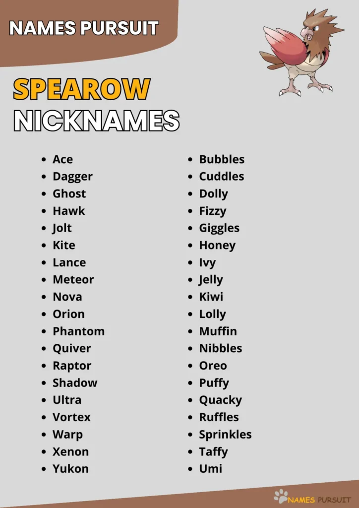 Best Spearow Nickname Ideas