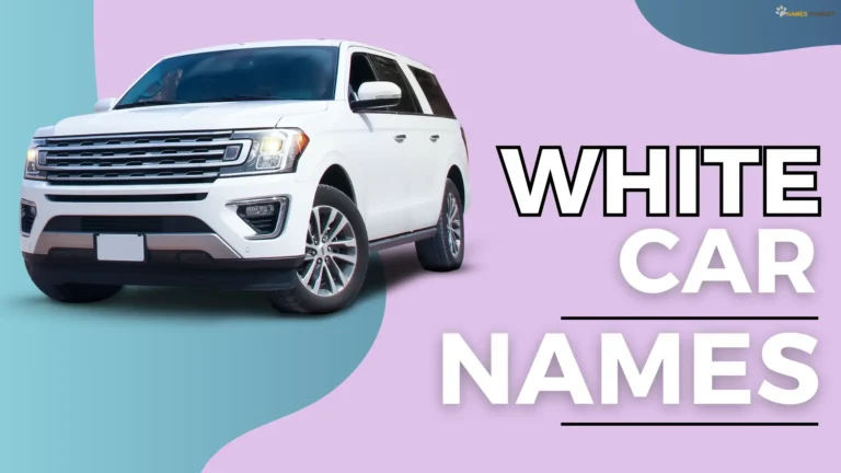 650+ White Car Names [Cute, Cool, Bold, & Funny Ideas]